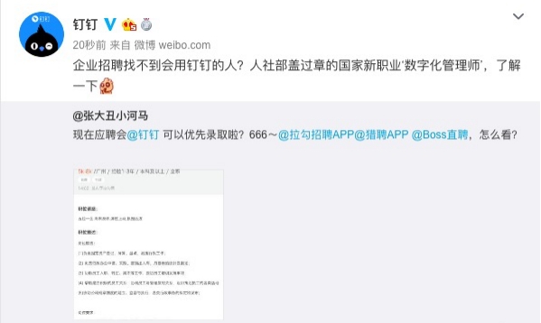 釘釘技能get讓職場人士行運一條龍