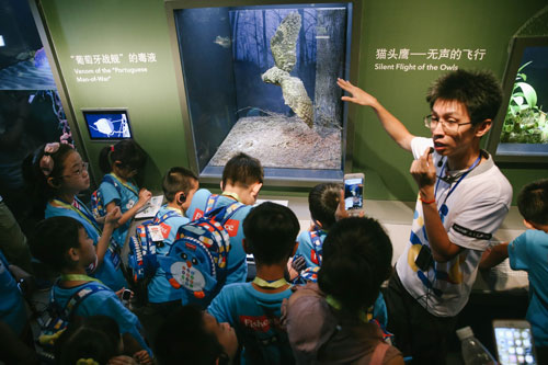 (宋老師正在講解關(guān)于貓頭鷹的知識(shí))