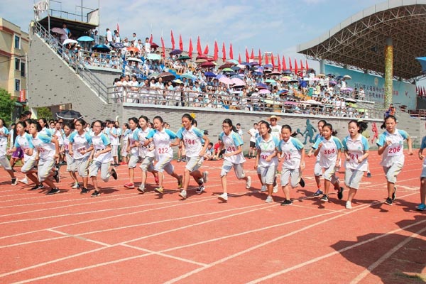 英語老師自學編程