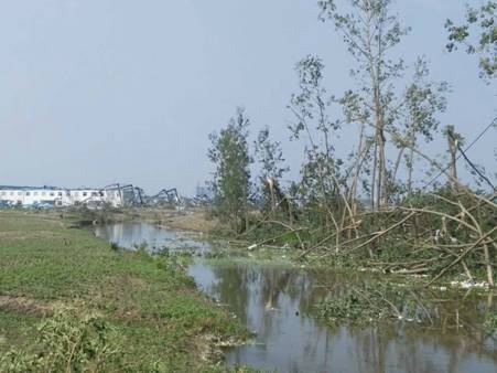 心融集團德瑞姆心理學院第一時間為鹽城災民提供心理救援