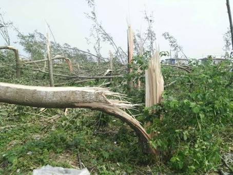 心融集團德瑞姆心理學院第一時間為鹽城災民提供心理救援