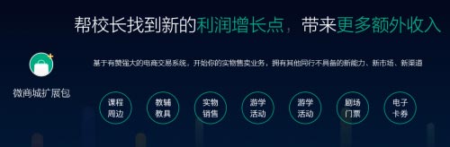 有贊帶流量聯盟殺入教育市場瞄準招生難